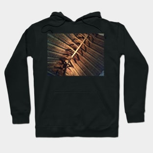 Alfriston Clergy House, Timber Beams Hoodie